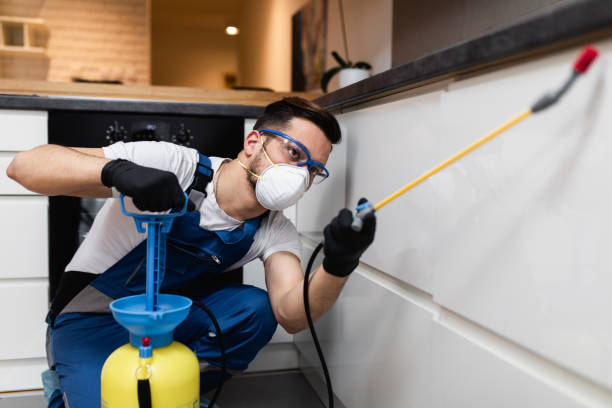 Flea Control Services in Tyrone, PA